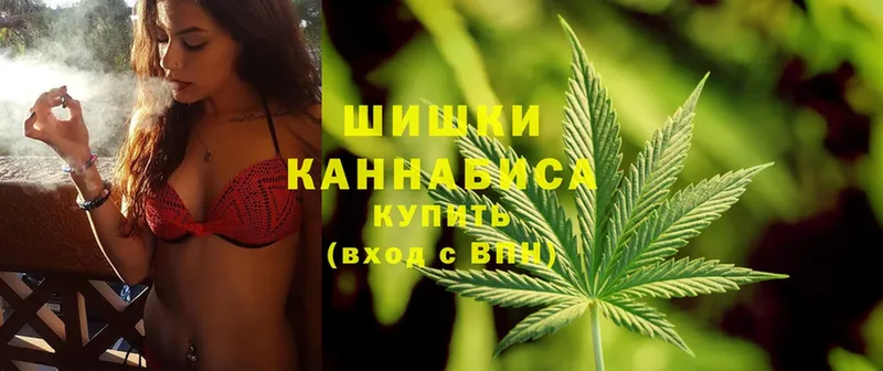 Конопля White Widow  закладки  Нерчинск 